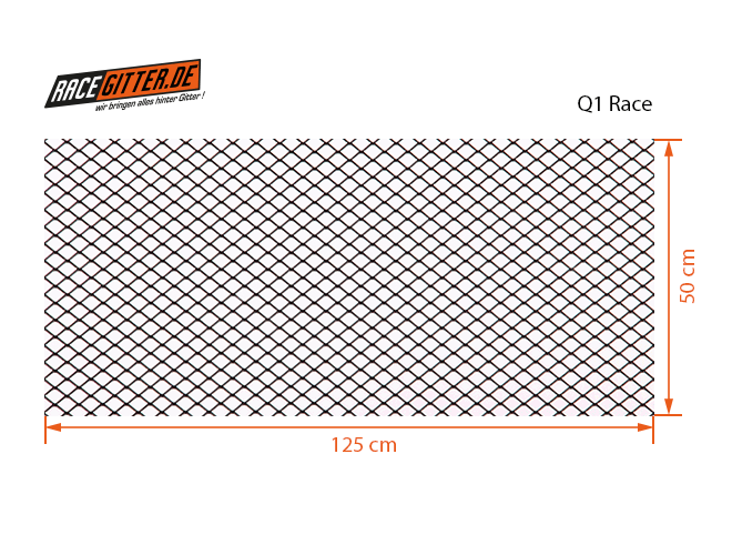 Racegitter - Q1 Race 16x12 - Racegitter.de